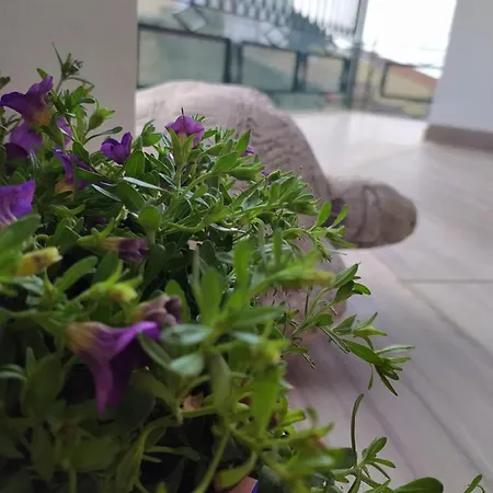 Apartament Attico Gloria & Greta